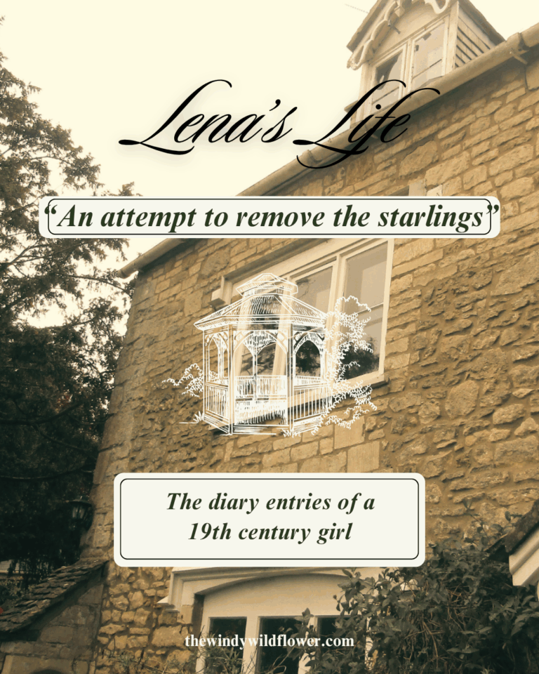 Lena’s Life – An attempt to remove the starlings (2)
