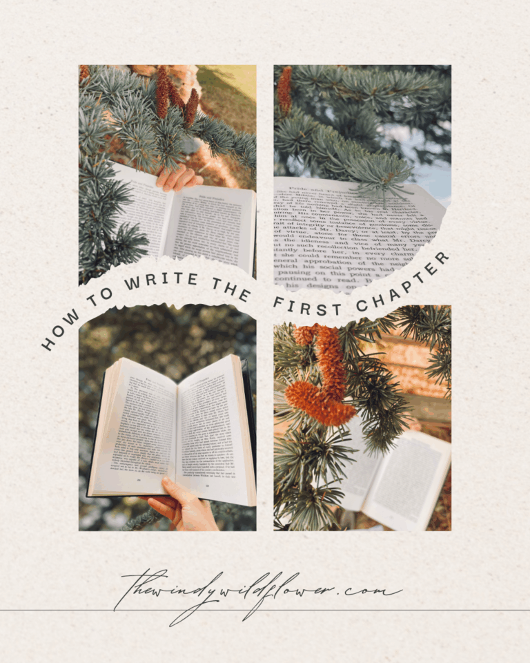 How to write the first chapter of your book