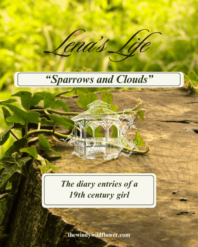 Lena’s Life – Sparrows and Clouds (6)